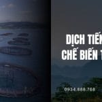 Dịch Thuật Tiếng Anh Chuyên Ngành Chế Biến Thủy Sản