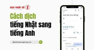 Cách dịch tiếng Nhật sang tiếng Anh online miễn phí, nhanh chóng