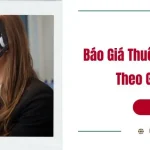Báo Giá Dịch Vụ Cho Thuê Phiên Dịch Tiếng Anh Tốt Nhất