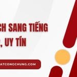 Hồ sơ năng lực dịch sang tiếng Anh là gì? Lợi ích và cách thiết kế hiệu quả