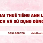 Tờ khai thuế tiếng Anh là gì? Cách dịch và sử dụng đúng chuẩn