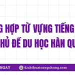 200+ Từ Vựng Tiếng Hàn Về Chủ Đề Du Học Hàn Quốc