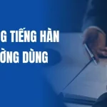 Học 100+ Từ Vựng Tiếng Hàn Về Hợp Đồng Thường Dùng