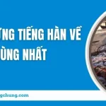 “Bỏ Túi” Bộ Từ Vựng Tiếng Hàn Về Ngư Nghiệp Hay Dùng Nhất