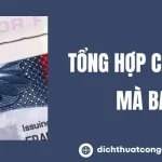 Các Loại Visa Đức Phổ Biến 2026