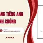 Dịch giấy khen sang tiếng Anh: Hướng dẫn chi tiết & lưu ý quan trọng