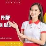 Lý Lịch Tư Pháp Dịch Sang Tiếng Anh Chi Tiết