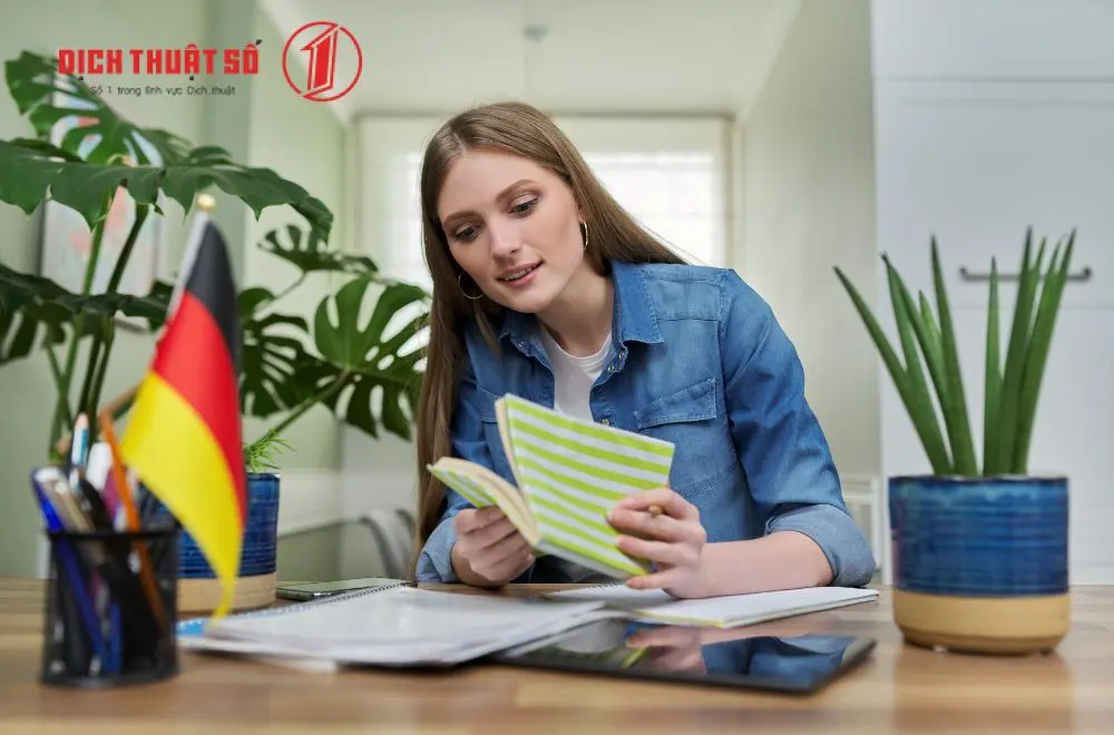 Mức lương và cơ hội việc làm khi học tiếng Đức hoặc Hàn
