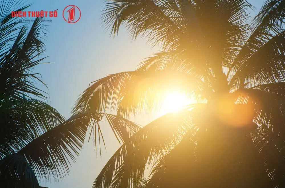 Các tính từ tiếng Đức miêu tả thời tiết