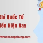 Các Loại Chứng Chỉ Quốc Tế Tiếng Pháp Phổ Biến Hiện Nay