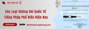 Các Loại Chứng Chỉ Quốc Tế Tiếng Pháp Phổ Biến Hiện Nay