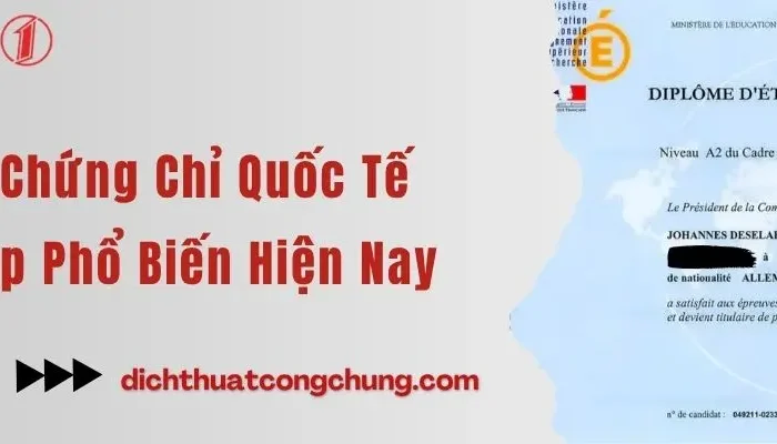 Các Loại Chứng Chỉ Quốc Tế Tiếng Pháp Phổ Biến Hiện Nay