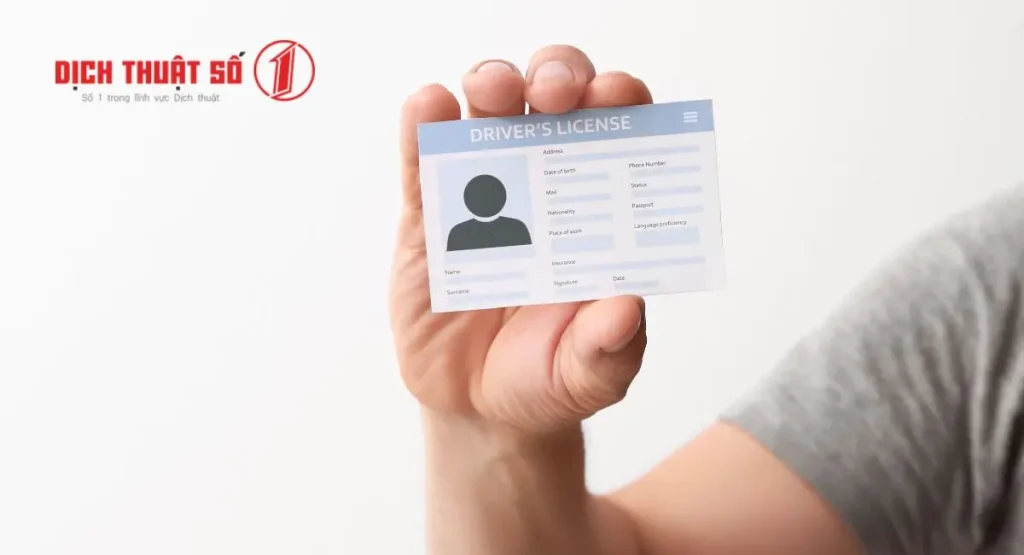 Tầm Quan Trọng Của Việc Dịch Bằng Lái Xe Sang Tiếng Anh