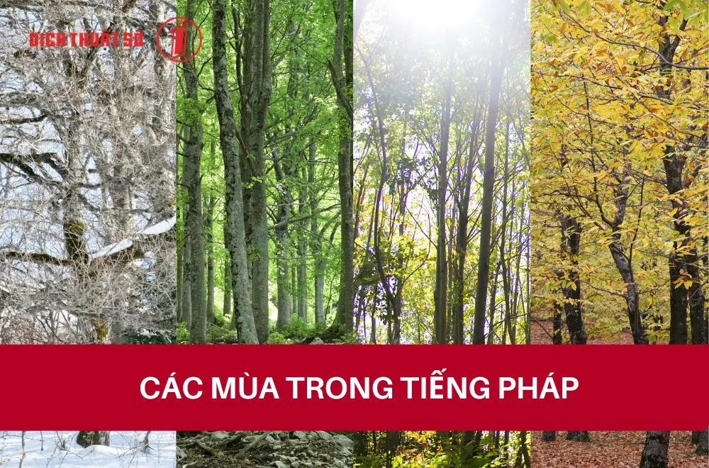 Các mùa trong tiếng Pháp