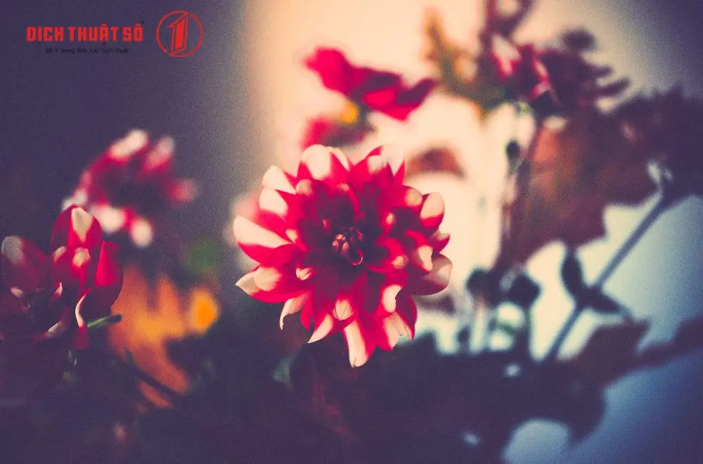 Những tính từ tiếng Pháp hay, đẹp như thơ