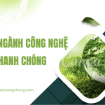Dịch tiếng Anh chuyên ngành công nghệ sinh học
