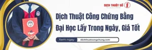 Dịch Thuật Công Chứng Bằng Đại Học Lấy Trong Ngày, Giá Tốt