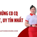 Dịch Thuật Công Chứng Chứng Nhận Co Cq Chuẩn Xác, Giá Tốt