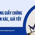Dịch Thuật Công Chứng Giấy Chứng Nhận Độc Thân Giá Tốt 2025​​