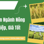 Dịch tiếng Anh chuyên ngành Nông nghiệp Chính xác, Nhanh chóng