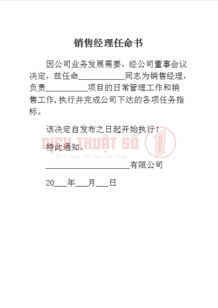 Thư bổ nhiệm là gì? Tại sao cần dịch thuật công chứng?