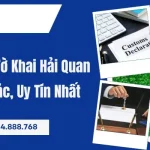 Dịch Thuật Công Chứng Tờ Khai Hải Quan Sang Tiếng Anh Chuẩn Xác