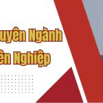 Dịch Tiếng Anh Chuyên Ngành Luật Uy Tín, Chuyên Nghiệp