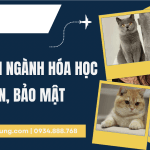 Dịch Tài Liệu Thú Y Sang Tiếng Anh Uy Tín,  Đúng Thuật Ngữ Khoa Học