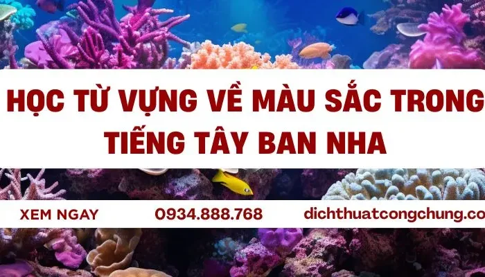 Từ Vựng Về Màu Sắc (Colores) Trong Tiếng Tây Ban Nha