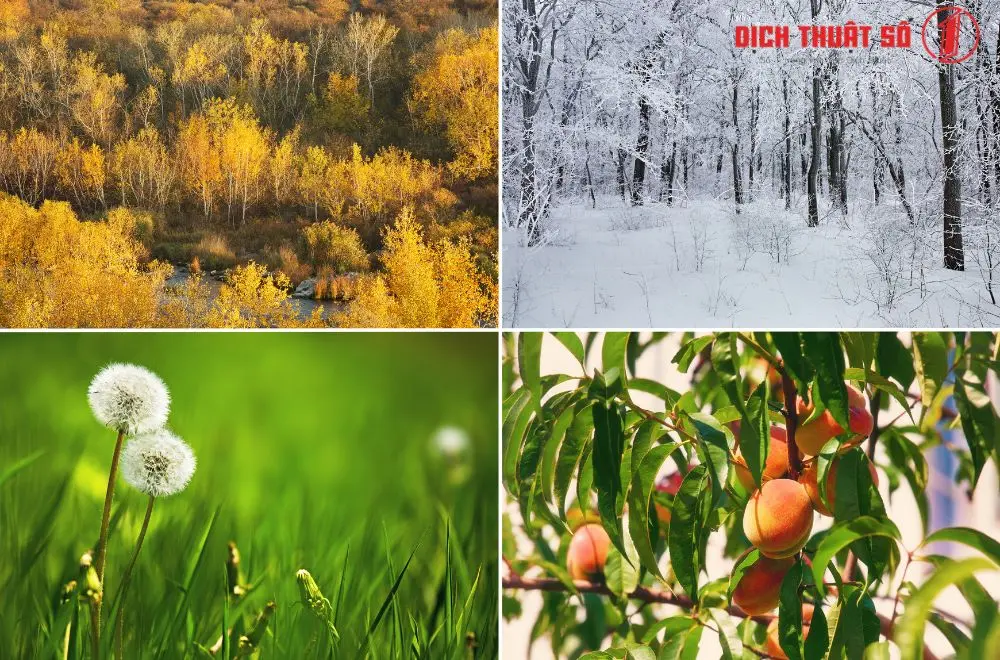 Các mùa trong tiếng Nhật