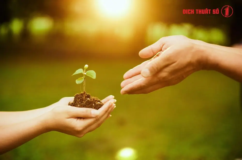 Những câu nói tiếng Tây Ban Nha hay về cuộc sống