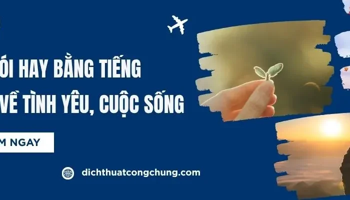 Những Câu Nói Hay Về Tình Yêu, Cuộc Sống Bằng Tiếng Tây Ban Nha