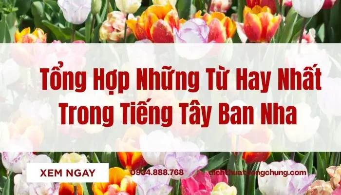 Tổng Hợp Những Từ Hay Nhất Trong Tiếng Tây Ban Nha