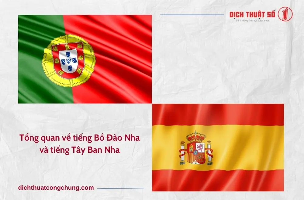 Tổng quan về tiếng Bồ Đào Nha và tiếng Tây Ban Nha