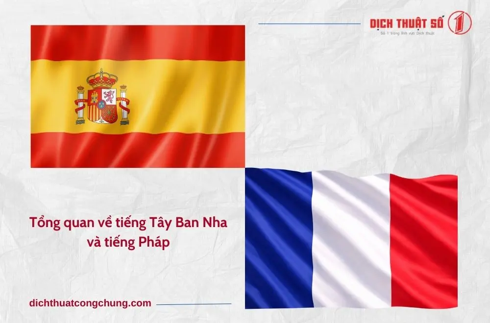 Tổng quan về tiếng Tây Ban Nha và tiếng Pháp