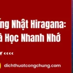 Bảng Chữ Cái Tiếng Nhật Hiragana: Cách Đọc, Viết Và Học Nhanh