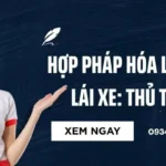 Hợp Pháp Hóa Lãnh Sự Giấy Phép Lái Xe: Thủ Tục Chi Tiết A – Z