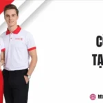 Dịch thuật công chứng Hòa Vang nhanh chóng, chuẩn pháp lý
